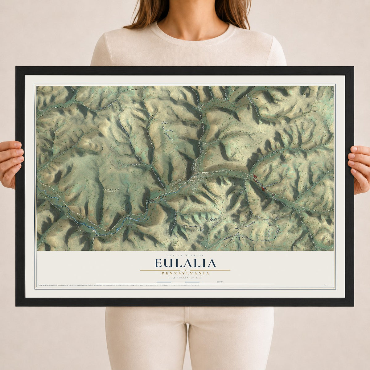 Map of Eulalia, Pennsylvania, 18 x 24 inch print in a black wood frame