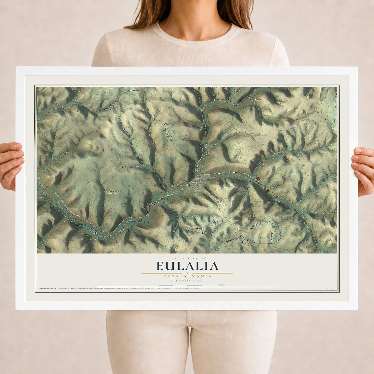 Map of Eulalia, Pennsylvania, 18 x 24 inch print in a white wood frame