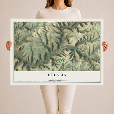 Map of Eulalia, Pennsylvania, 24 x 36 inch unframed archival matte print