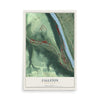 Map of Fallston, Pennsylvania, 12 x 18 inch unframed archival matte print