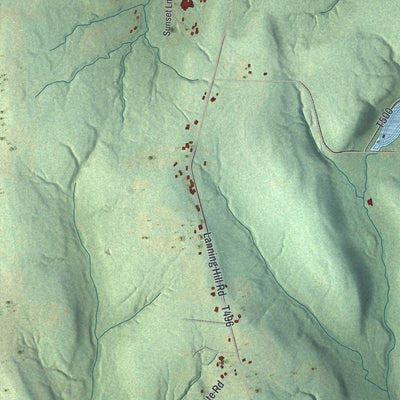 Second close-up of the map of Farmington, Warren County, Pennsylvania print showing more streets and buildings