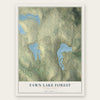 Fawn Lake Forest, Pennsylvania map print, the full design