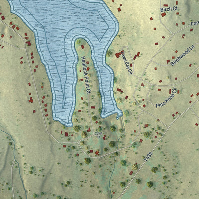 Close-up of the map of Fawn Lake Forest, Pennsylvania print showing street and building detail