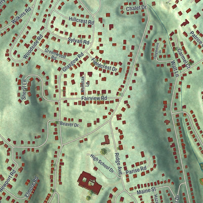 Close-up of the map of Forest Hills, Pennsylvania print showing street and building detail