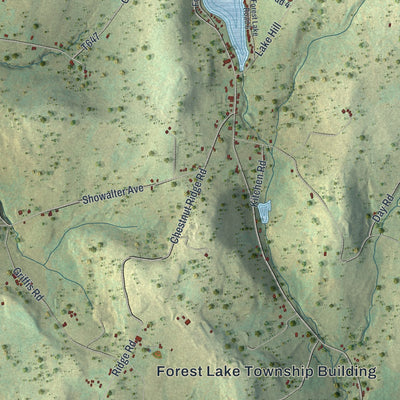 Close-up of the map of Forest Lake, Pennsylvania print showing street and building detail
