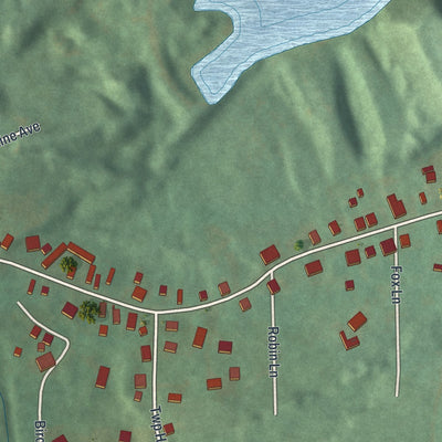 Close-up of the map of Forestville, Pennsylvania print showing street and building detail