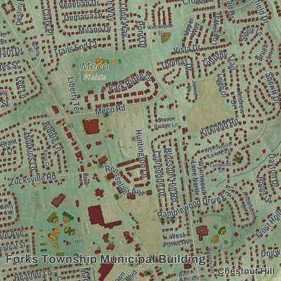 Close-up of the map of Forks, Northampton County, Pennsylvania print showing street and building detail