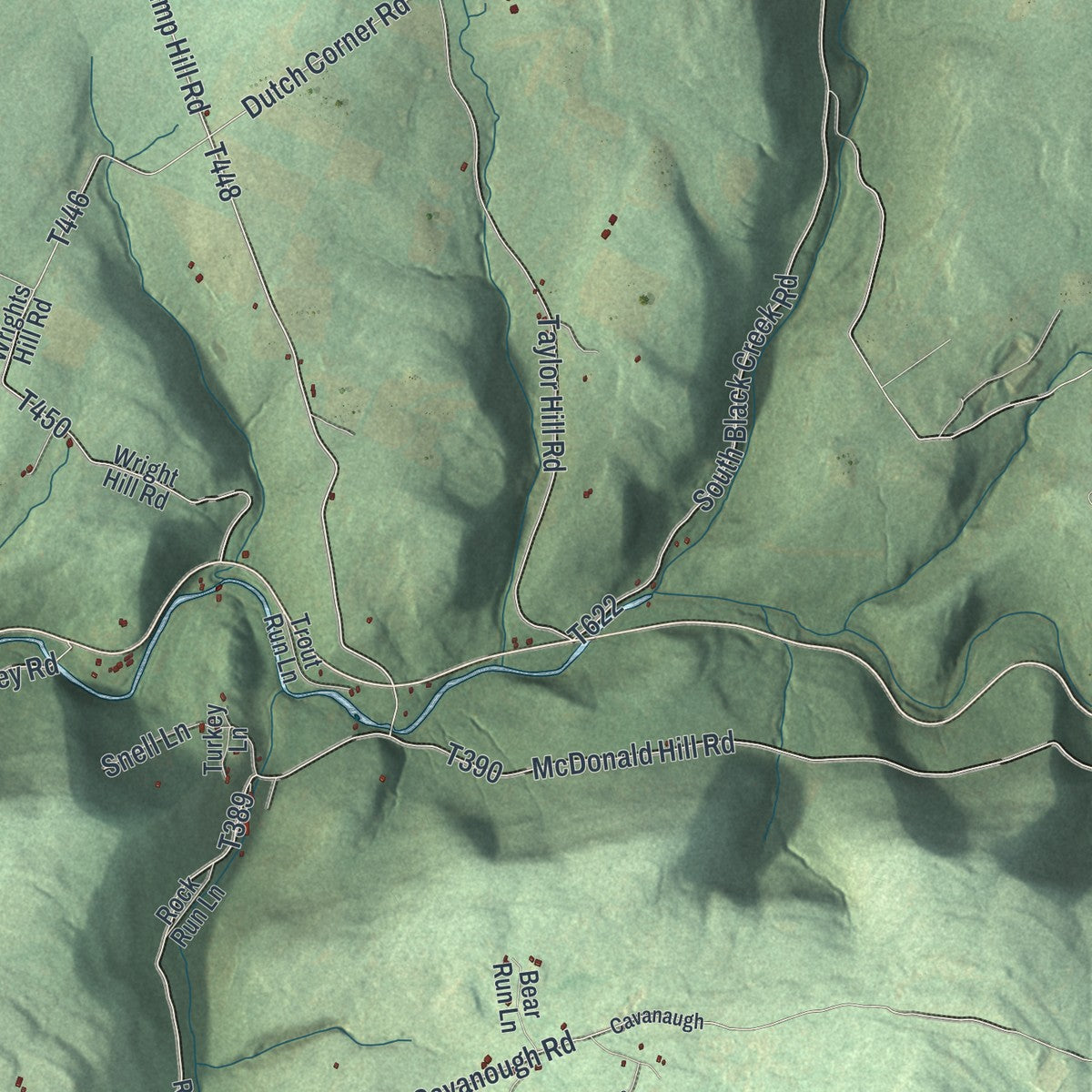 Close-up of the map of Forks, Sullivan County, Pennsylvania print showing street and building detail