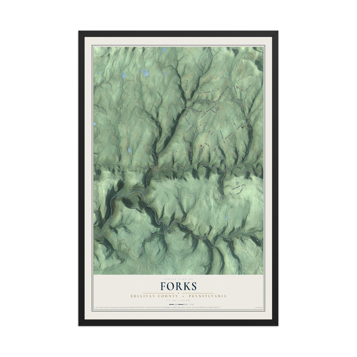 Map of Forks, Sullivan County, Pennsylvania, 12 x 18 inch print in a black wood frame