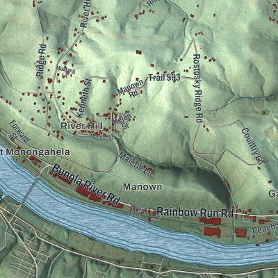 Close-up of the map of Forward, Allegheny County, Pennsylvania print showing street and building detail