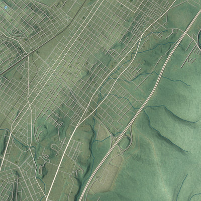 Second close-up of the map of Frankstown, Pennsylvania print showing more streets and buildings