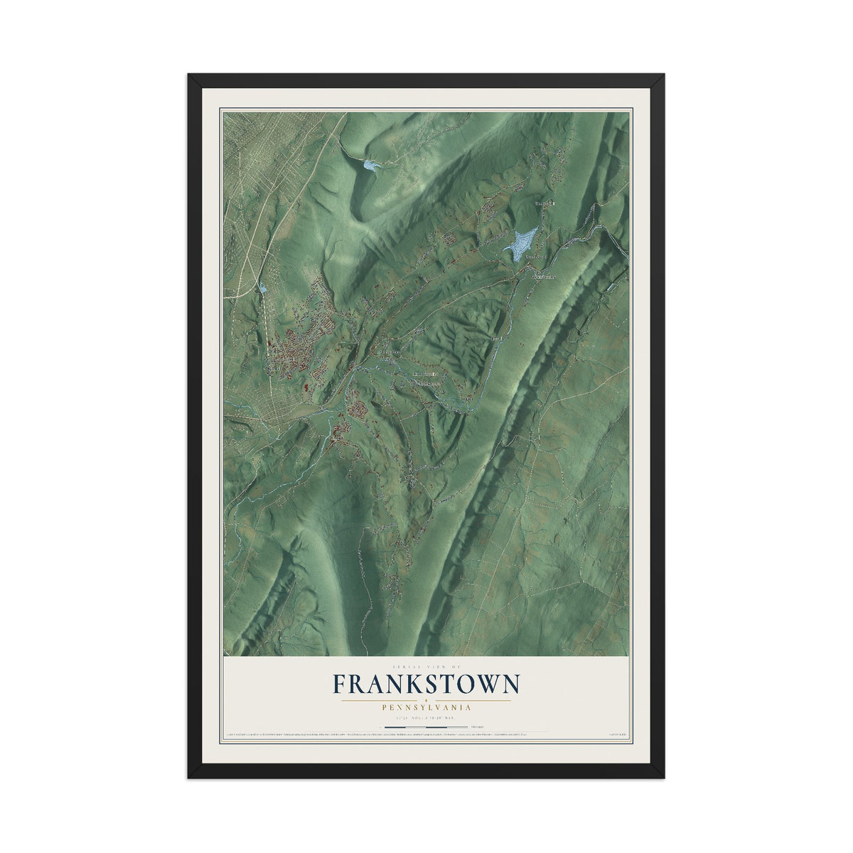 Map of Frankstown, Pennsylvania, 12 x 18 inch print in a black wood frame