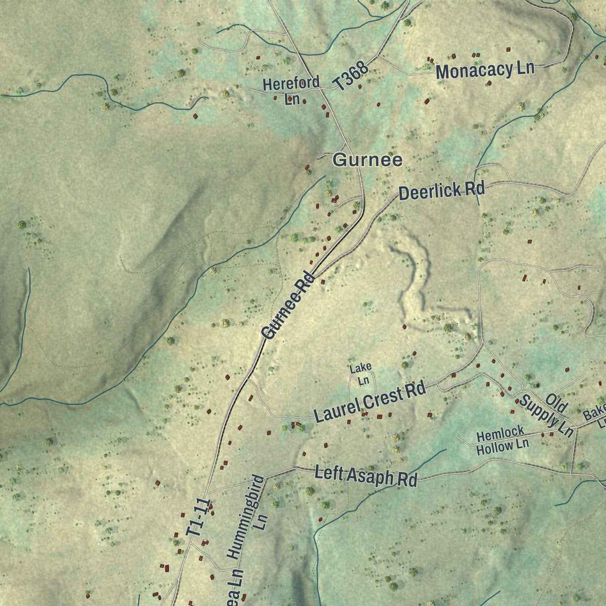 Close-up of the map of Gaines, Pennsylvania print showing street and building detail