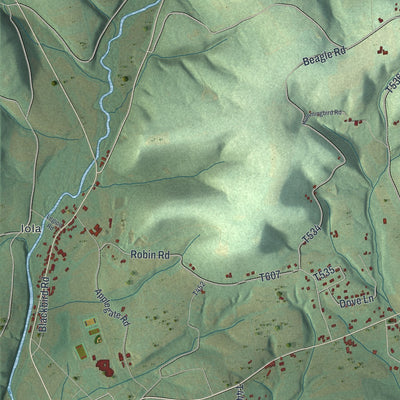 Close-up of the map of Greenwood, Columbia County, Pennsylvania print showing street and building detail