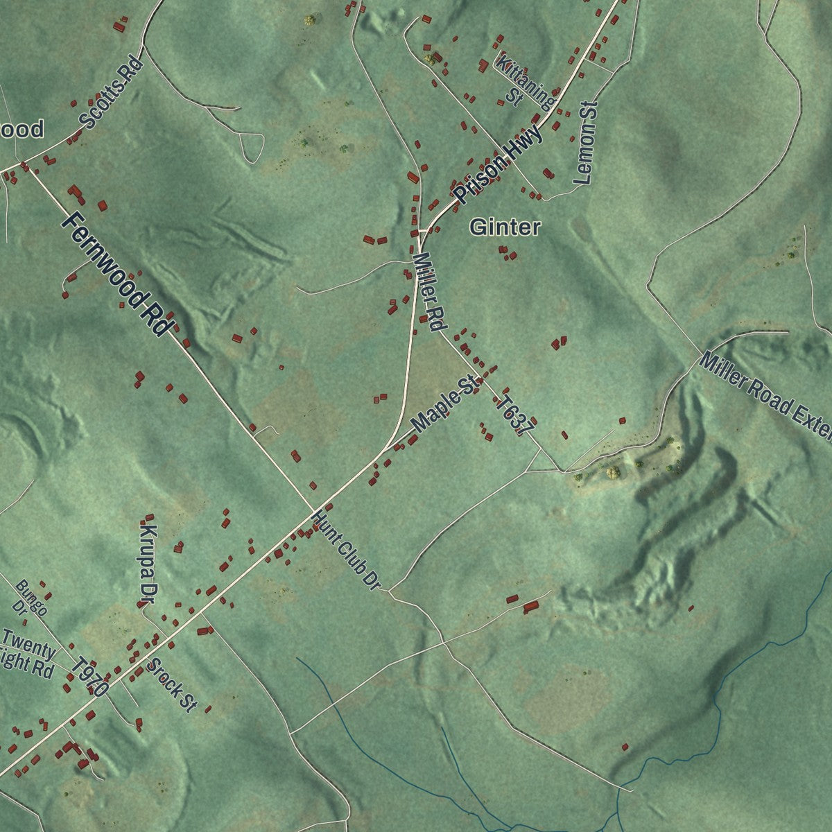 Close-up of the map of Gulich, Pennsylvania print showing street and building detail