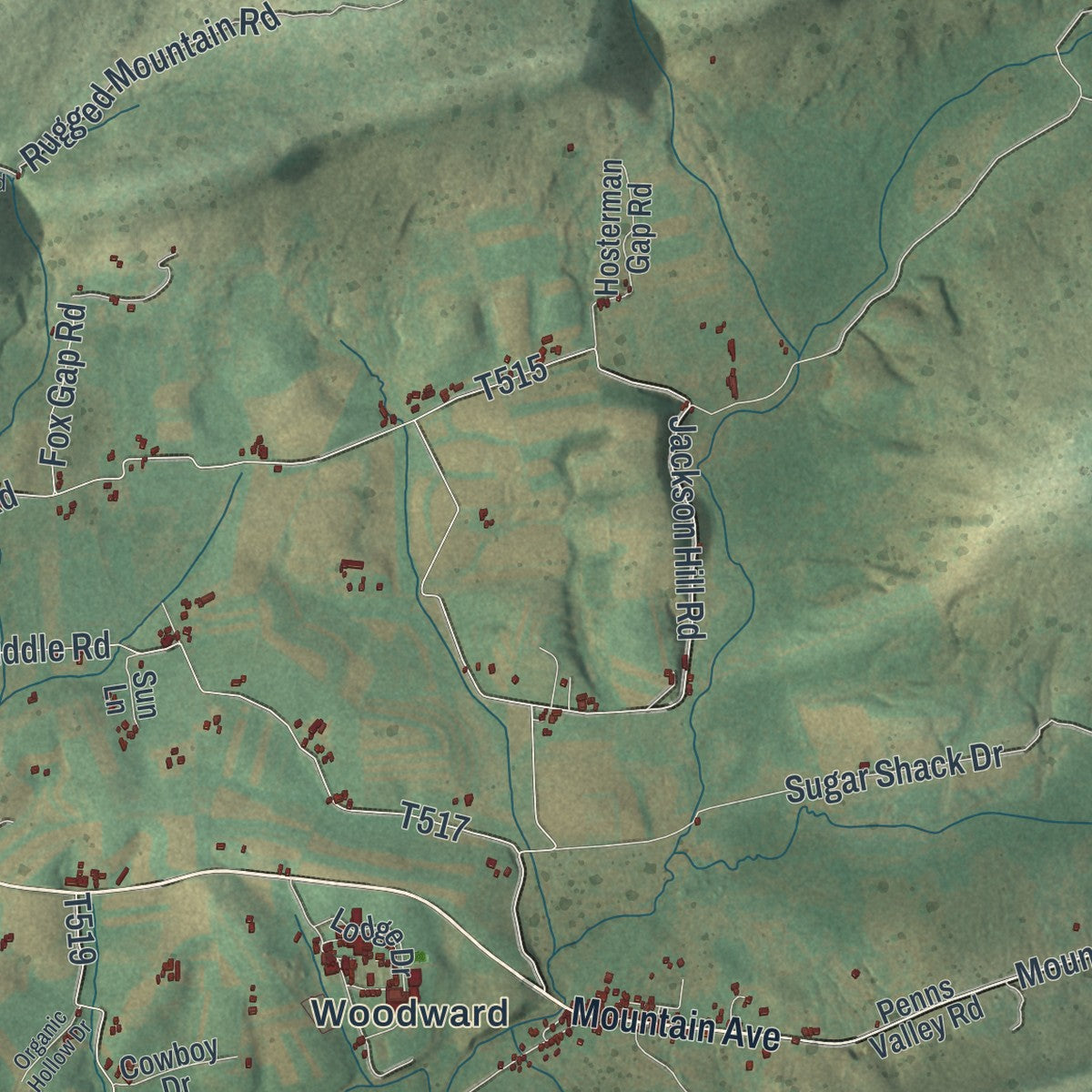 Second close-up of the map of Haines, Pennsylvania print showing more streets and buildings