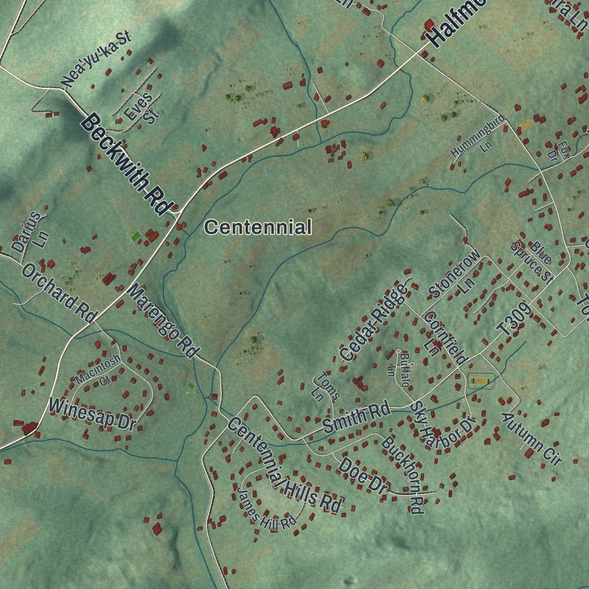 Close-up of the map of Halfmoon, Pennsylvania print showing street and building detail
