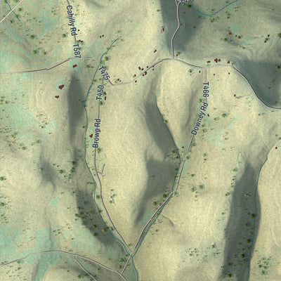 Second close-up of the map of Harrison, Potter County, Pennsylvania print showing more streets and buildings