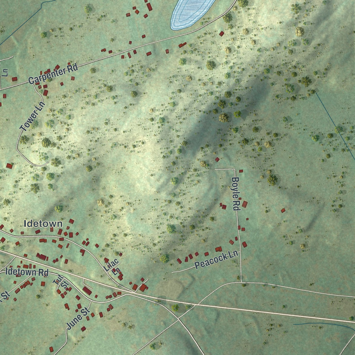 Second close-up of the map of Harveys Lake, Pennsylvania print showing more streets and buildings