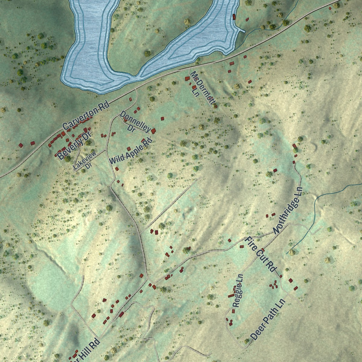 Second close-up of the map of Kingston, Luzerne County, Pennsylvania print showing more streets and buildings