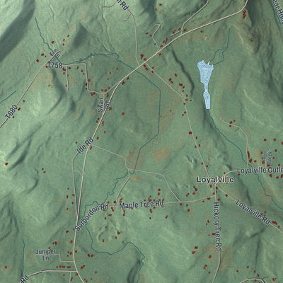 Second close-up of the map of Lake, Luzerne County, Pennsylvania print showing more streets and buildings