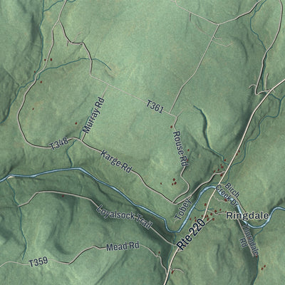 Close-up of the map of Laporte, Sullivan County, Pennsylvania print showing street and building detail