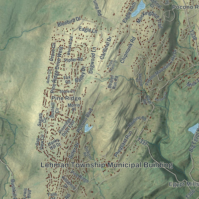 Close-up of the map of Lehman, Pike County, Pennsylvania print showing street and building detail