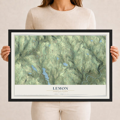 Map of Lemon, Pennsylvania, 12 x 18 inch print in a black wood frame