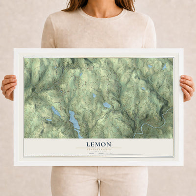 Map of Lemon, Pennsylvania, 12 x 18 inch print in a white wood frame