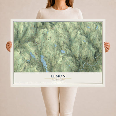 Map of Lemon, Pennsylvania, 24 x 36 inch unframed archival matte print
