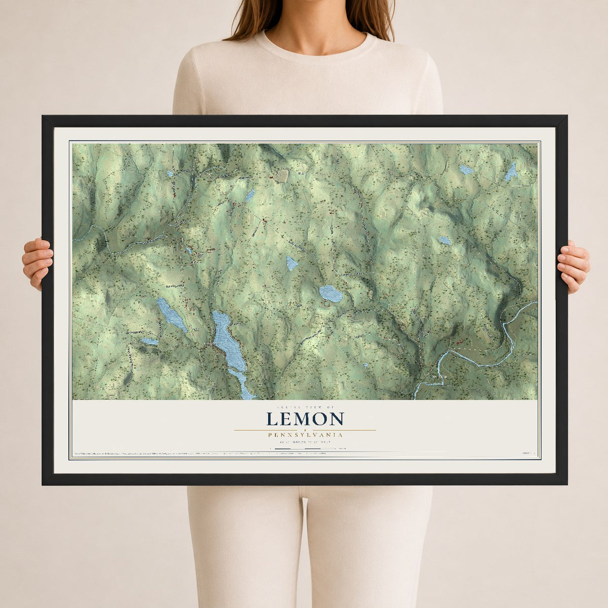 Map of Lemon, Pennsylvania, 24 x 36 inch print in a black wood frame
