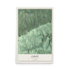Map of Leroy, Pennsylvania, 12 x 18 inch unframed archival matte print