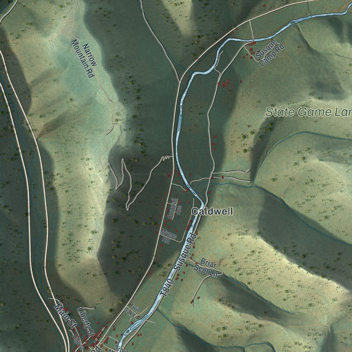 Second close-up of the map of Lewis, Lycoming County, Pennsylvania print showing more streets and buildings
