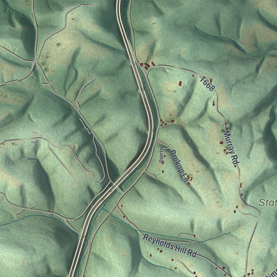 Close-up of the map of Lewis, Northumberland County, Pennsylvania print showing street and building detail