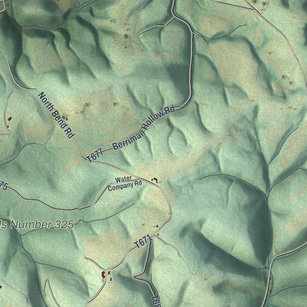 Second close-up of the map of Lewis, Northumberland County, Pennsylvania print showing more streets and buildings