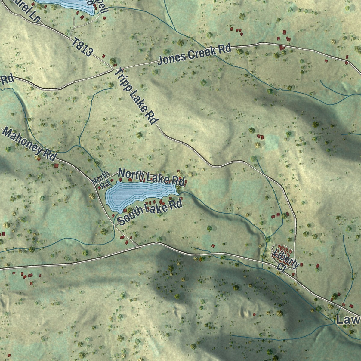 Close-up of the map of Liberty, Susquehanna County, Pennsylvania print showing street and building detail