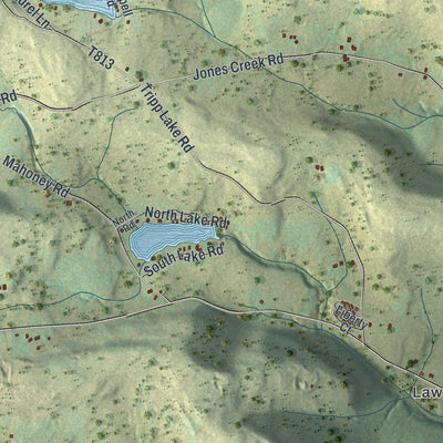 Close-up of the map of Liberty, Susquehanna County, Pennsylvania print showing street and building detail