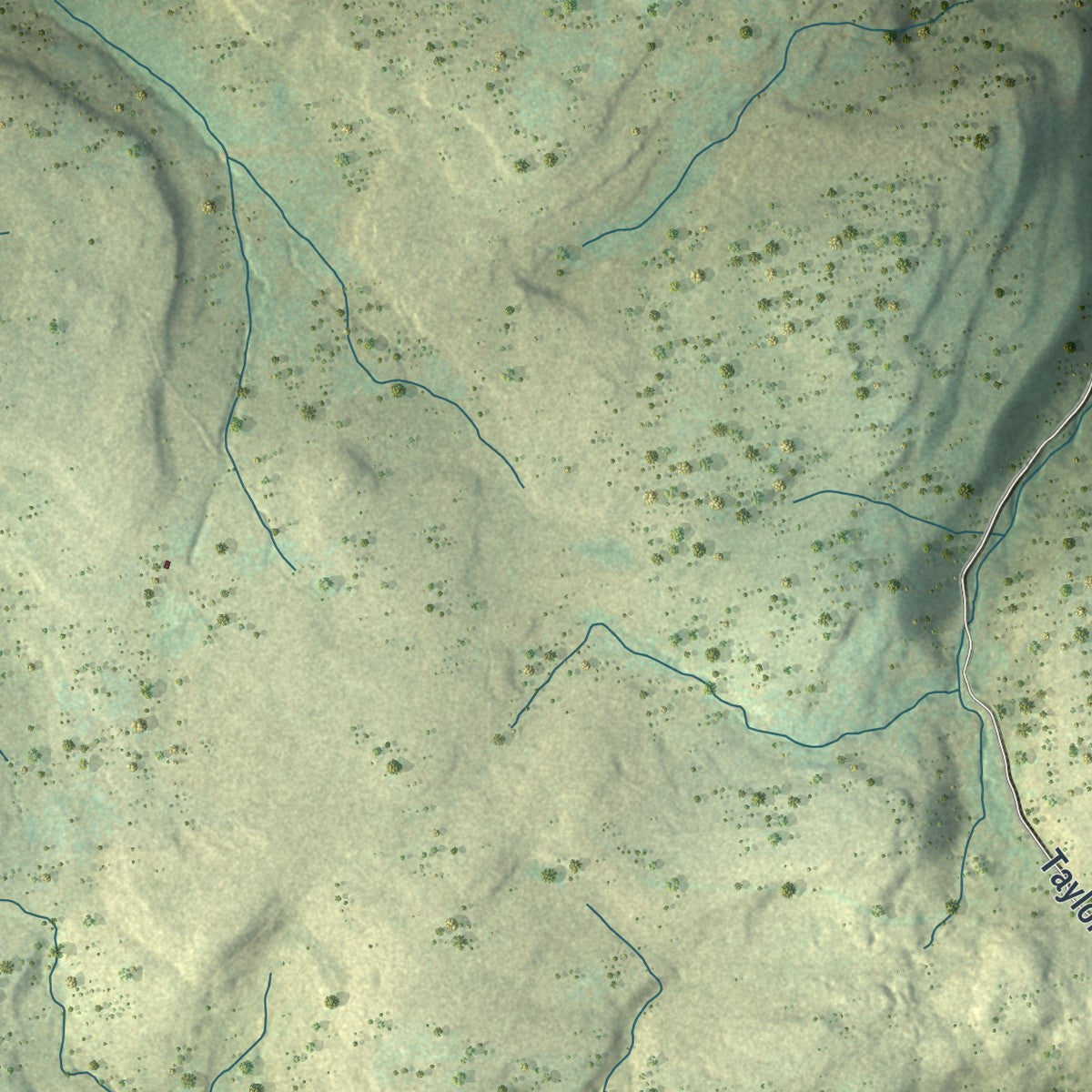Second close-up of the map of Liberty, Tioga County, Pennsylvania print showing more streets and buildings