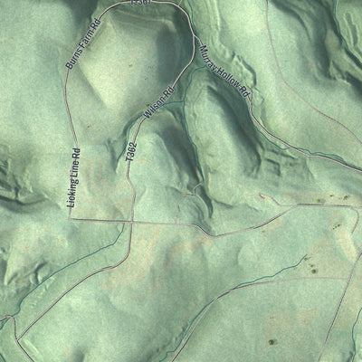 Close-up of the map of Licking, Pennsylvania print showing street and building detail
