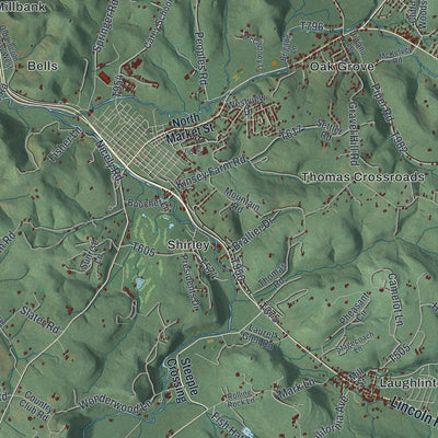 Close-up of the map of Ligonier, Westmoreland County, Pennsylvania print showing street and building detail