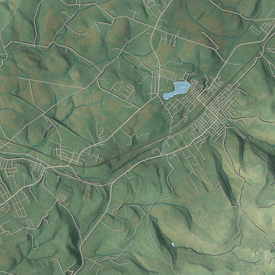 Second close-up of the map of Ligonier, Westmoreland County, Pennsylvania print showing more streets and buildings