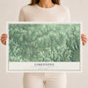 Map of Limestone, Clarion County, Pennsylvania, 12 x 18 inch unframed archival matte print