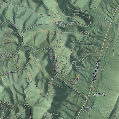 Close-up of the map of Londonderry, Bedford County, Pennsylvania print showing street and building detail