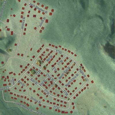 Close-up of the map of Loop, Pennsylvania print showing street and building detail