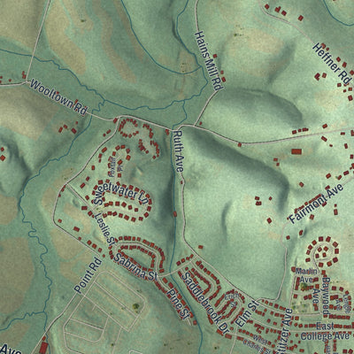 Second close-up of the map of Lower Heidelberg, Pennsylvania print showing more streets and buildings