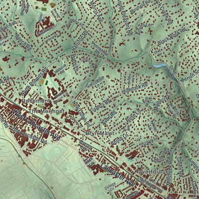 Close-up of the map of Lower Merion, Pennsylvania print showing street and building detail