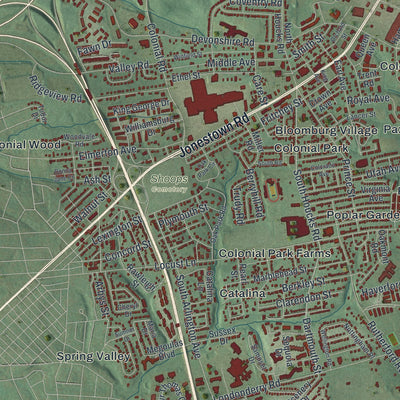 Close-up of the map of Lower Paxton, Pennsylvania print showing street and building detail