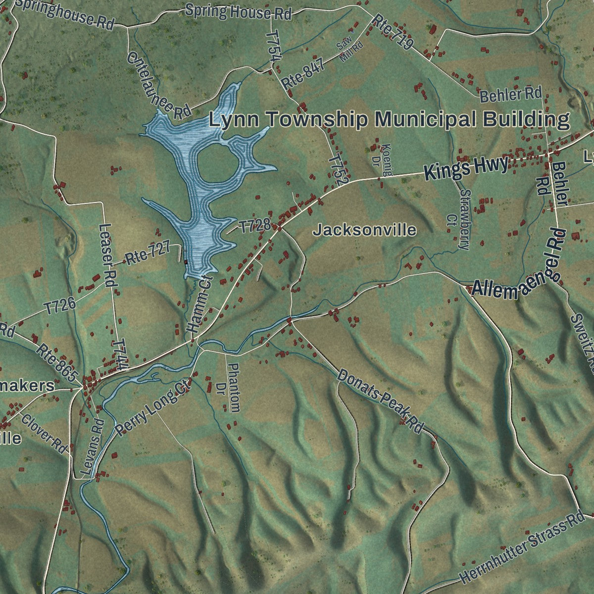 Close-up of the map of Lynn, Pennsylvania print showing street and building detail