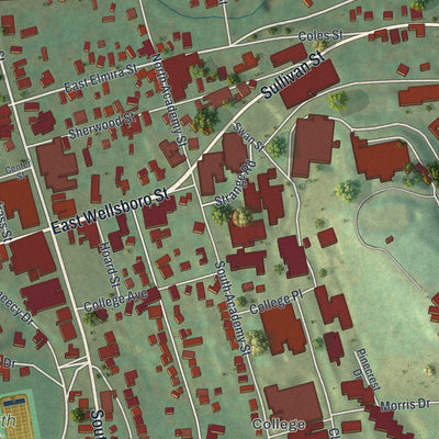 Close-up of the map of Mansfield, Pennsylvania print showing street and building detail