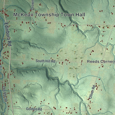 Close-up of the map of McKean, Erie County, Pennsylvania print showing street and building detail